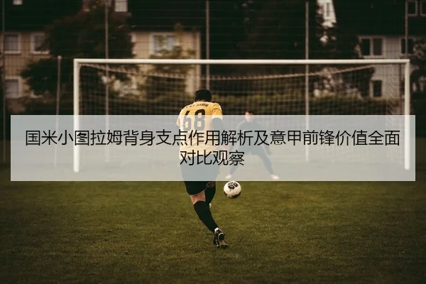国米小图拉姆背身支点作用解析及意甲前锋价值全面对比观察